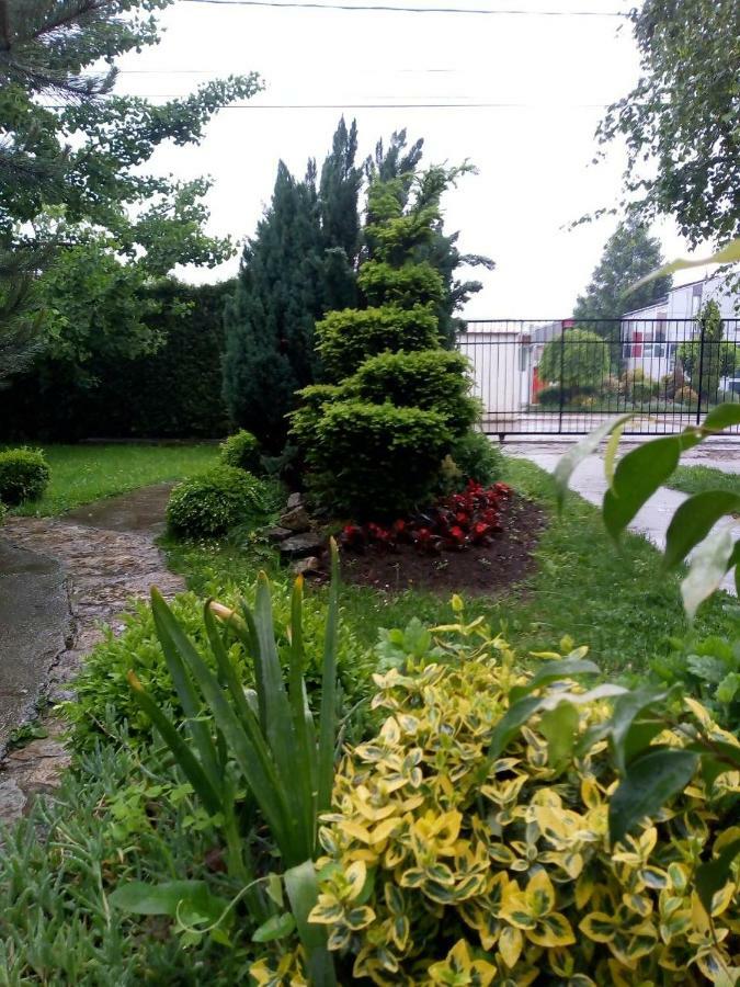 Natura Apartment Belgrad Exteriör bild